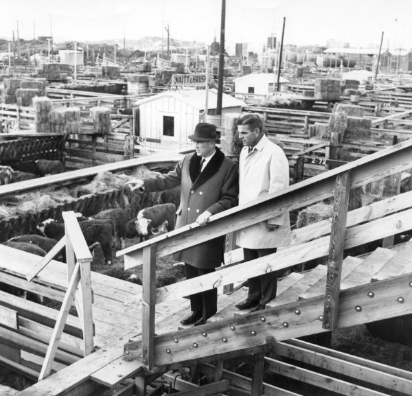 Stockyards: Lawrence V. Kuhl